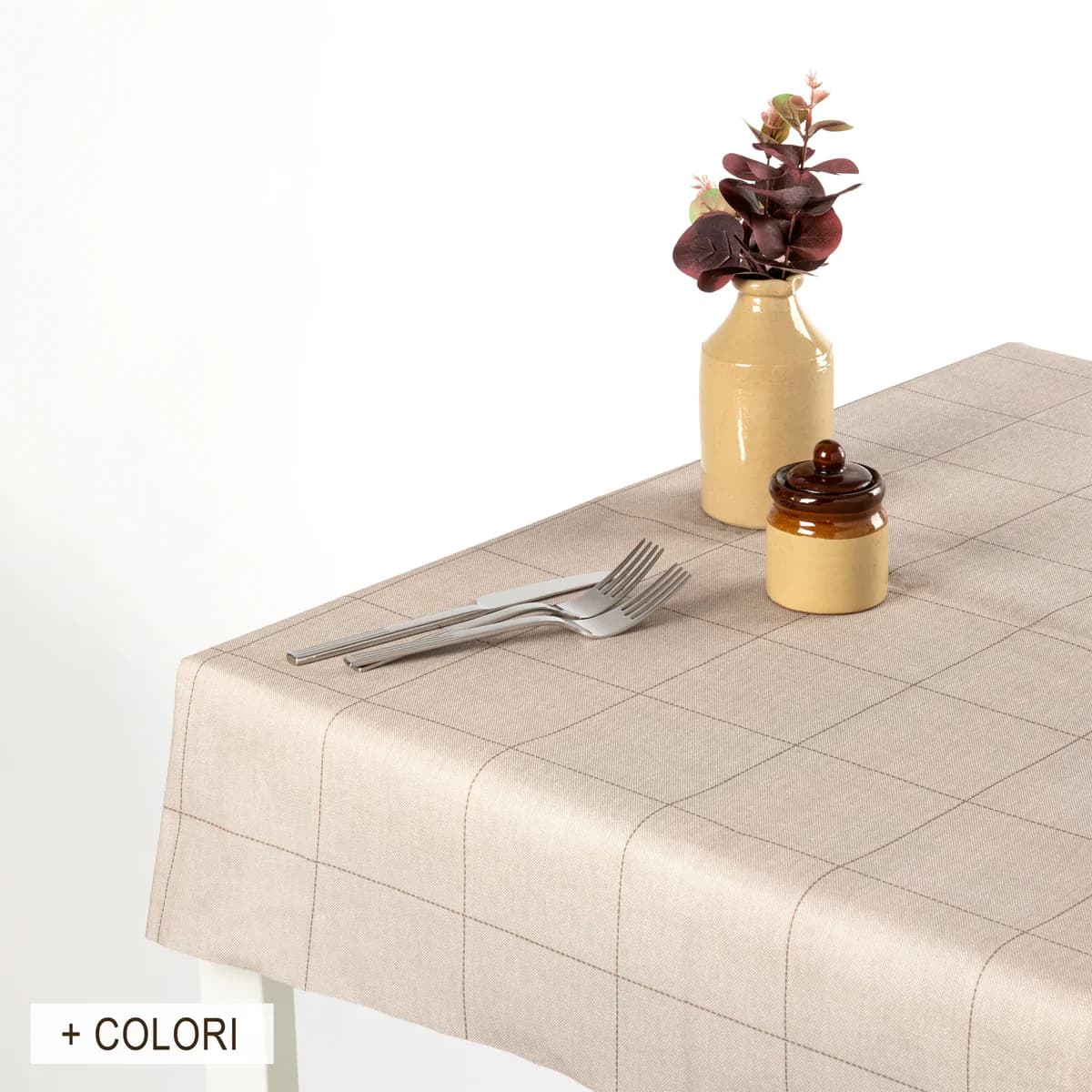 Coprimacchia Seattle 100x100